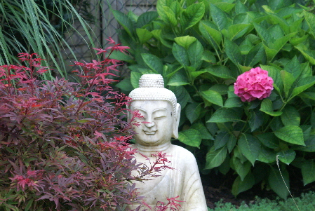 PICT buddha